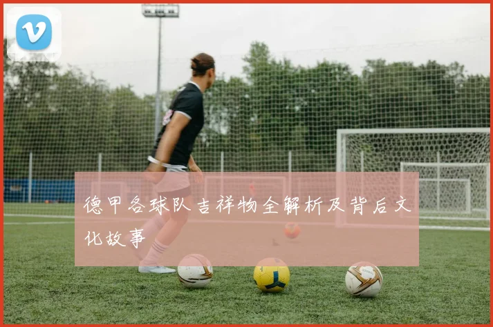 德甲各球队吉祥物全解析及背后文化故事