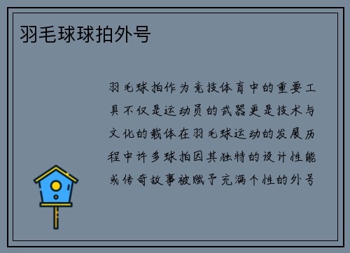 羽毛球球拍外号